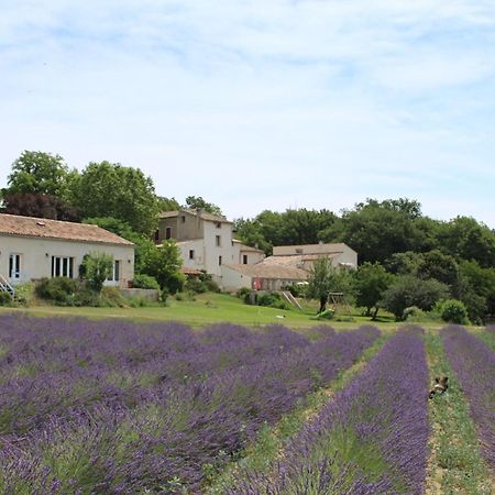 Les Anes De Forcalquier Hotel Bagian luar foto