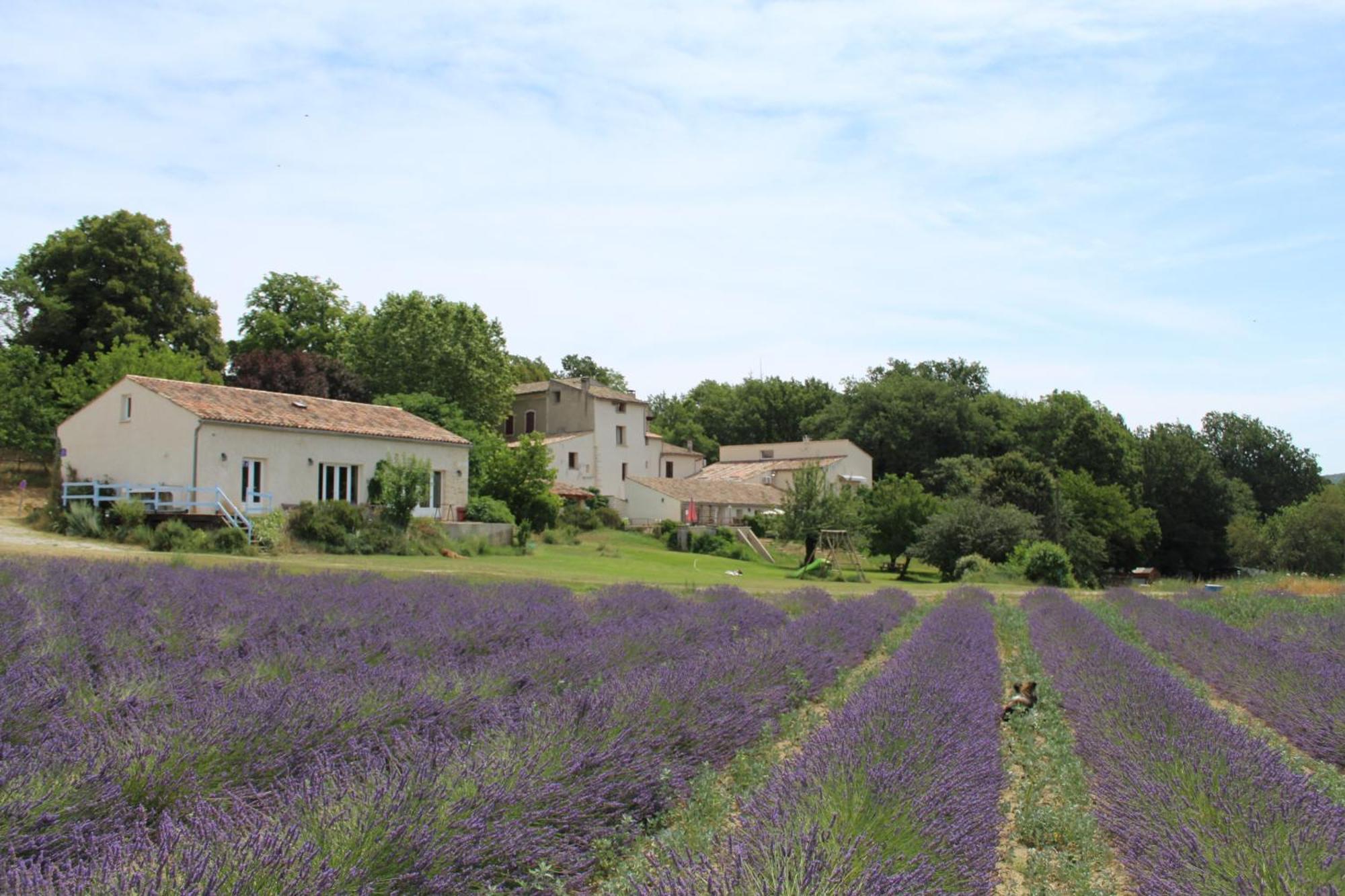 Les Anes De Forcalquier Hotel Bagian luar foto