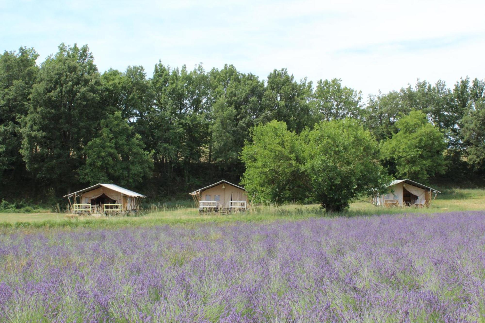 Les Anes De Forcalquier Hotel Bagian luar foto