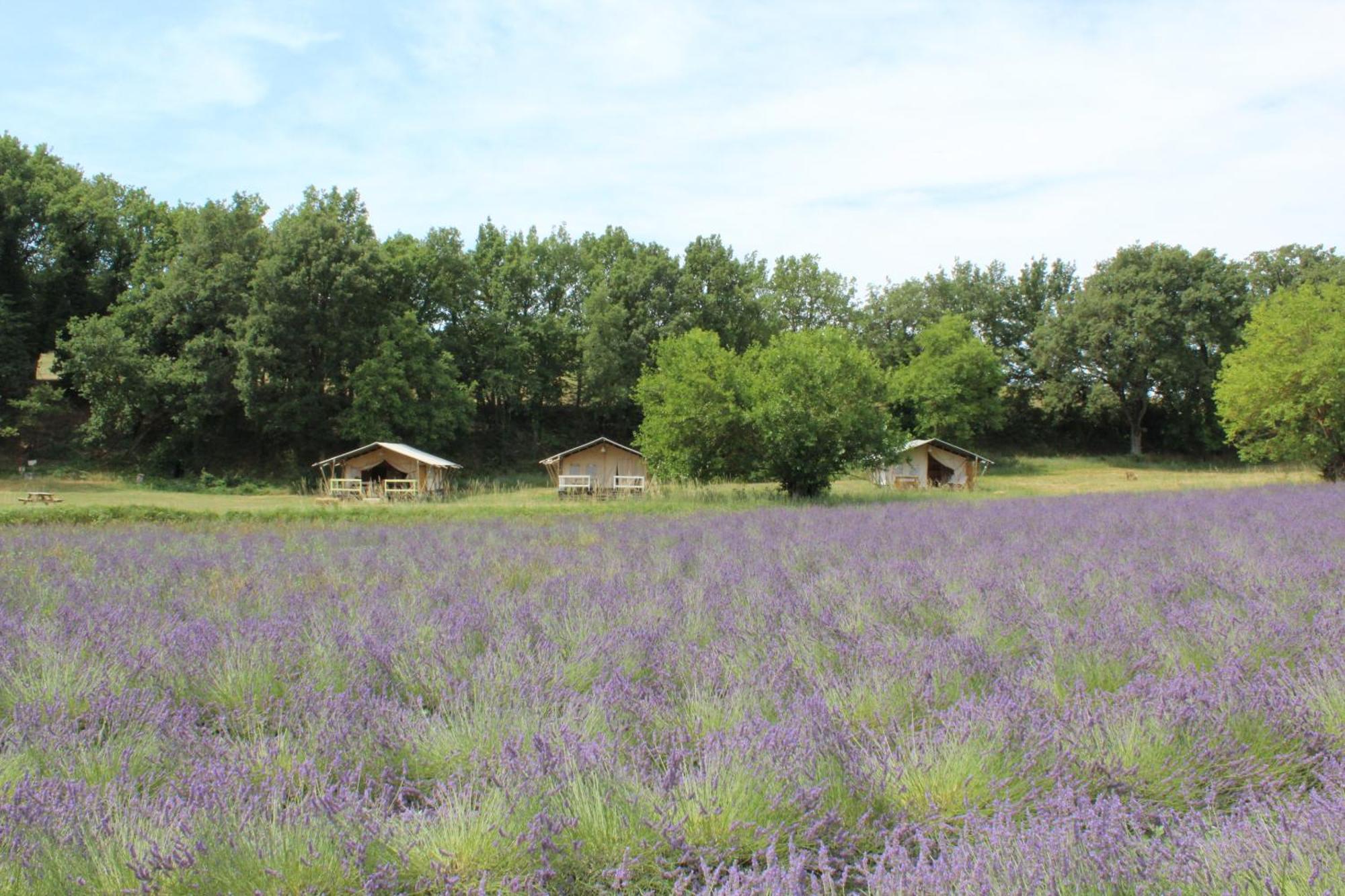 Les Anes De Forcalquier Hotel Bagian luar foto