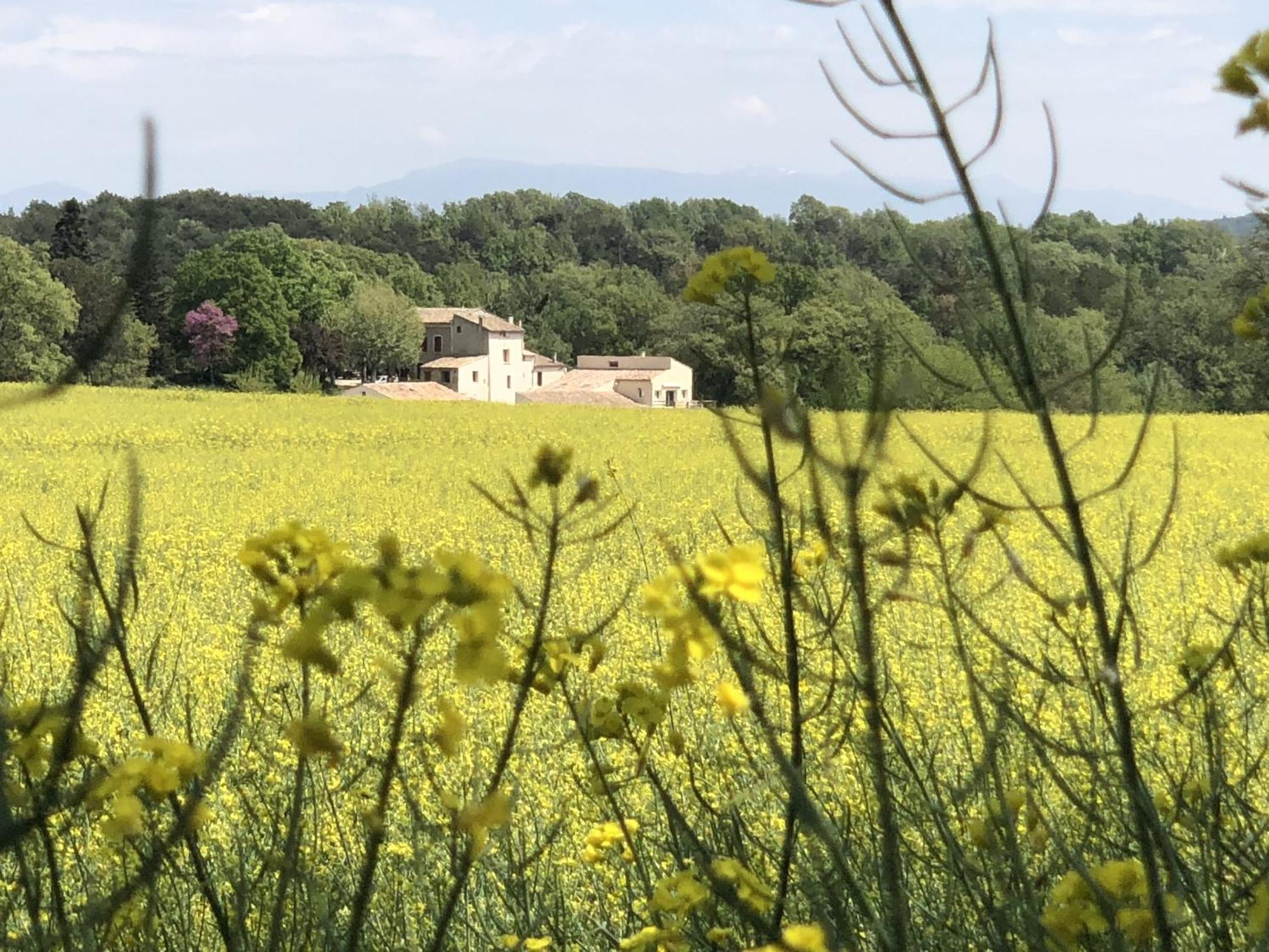 Les Anes De Forcalquier Hotel Bagian luar foto