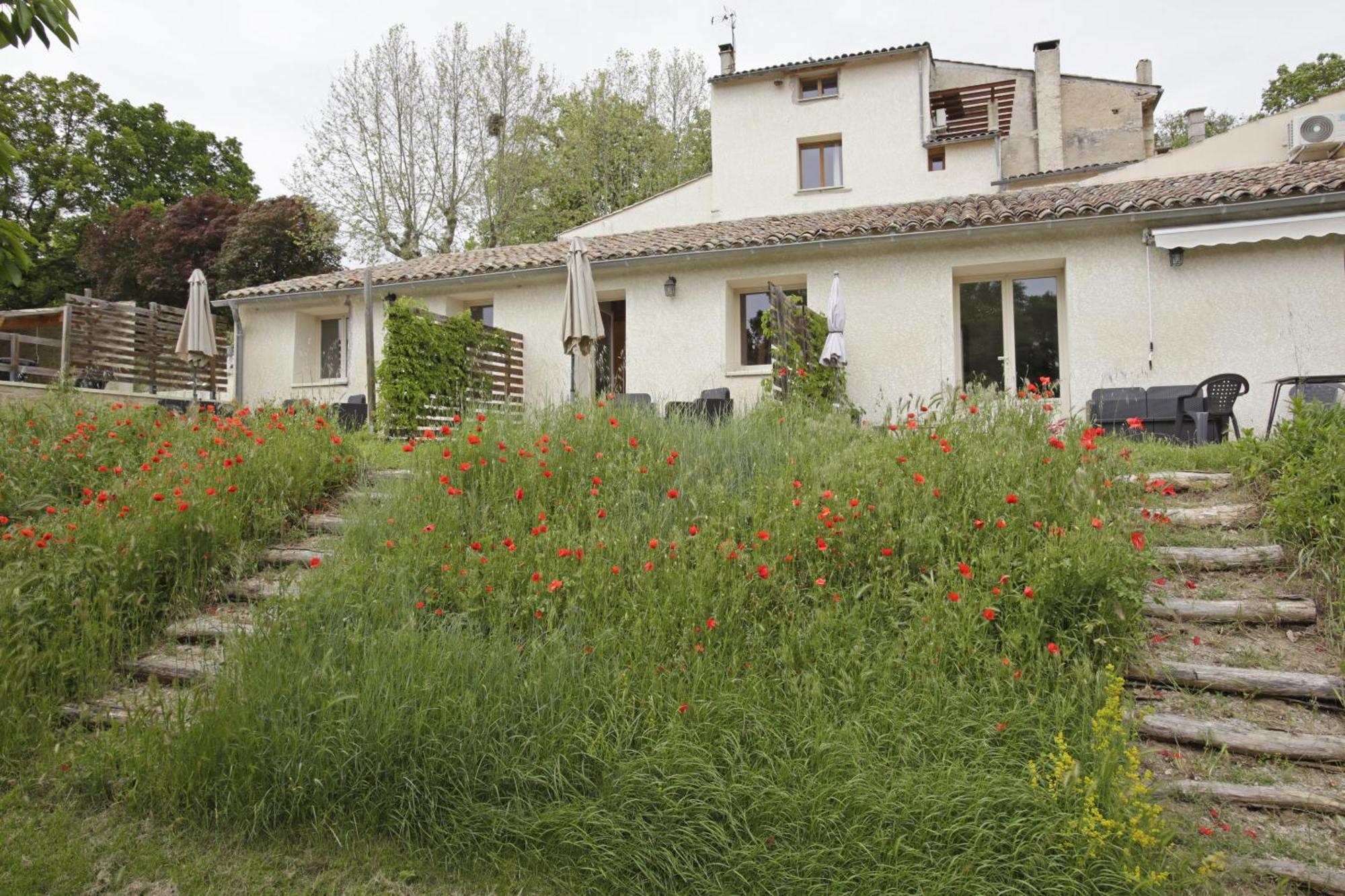 Les Anes De Forcalquier Hotel Ruang foto